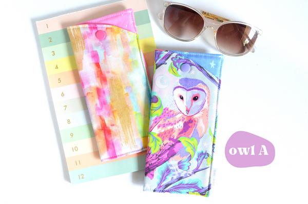 Rainbow Owl Glasses Case