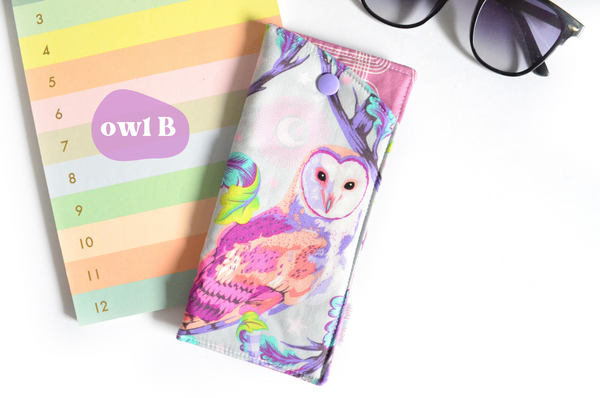 Rainbow Owl Glasses Case