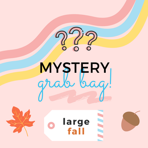 Large 🍂Fall-Themed🍂 MYSTERY Grab Bag!