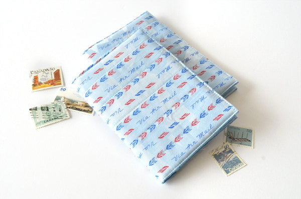 Blue Airmail Passport Cover
